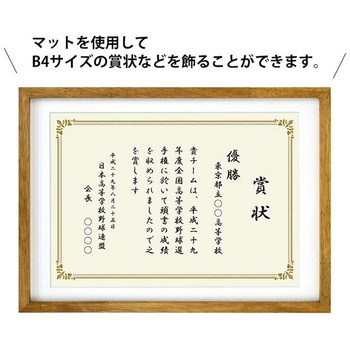 エコラフレーム 万丈