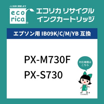 IB09YB対応リサイクルインクカートリッジ エコリカ