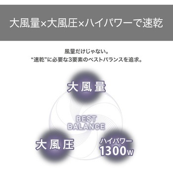 ヘアドライヤー プロテクトイオン 折りたたみ 最軽量 ハイパワー 大風量 大風圧 風量3段階/風温2段階 速乾 コンパクト ラク抜きプラグ Speedom テスコム