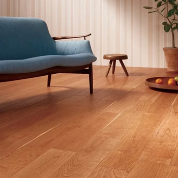 ライブナチュラルプレミアム STANDARD 朝日ウッドテック