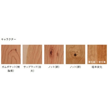 ライブナチュラルプレミアム STANDARD 朝日ウッドテック