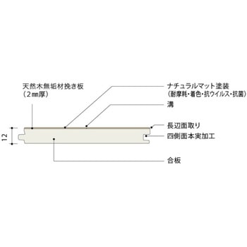 ライブナチュラルプレミアム MOMENT - 朝日ウッドテック