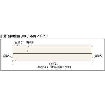 カナエルC12・JベースVC ノダ