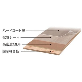 カナエルR12・Jベース ノダ