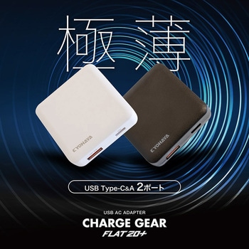 USB充電器 薄型 2ポート 20W出力 京ハヤ
