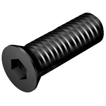 カウンターシンクヘッドスクリュー サンドビック