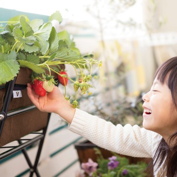 Vegtrug ベジトラグ ポピーGO タカショー
