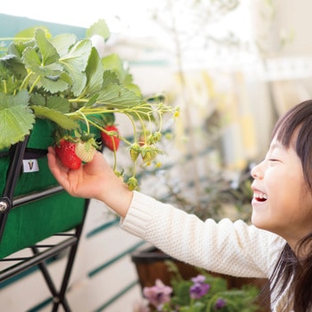 Vegtrug ベジトラグ ポピーGO タカショー