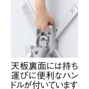 イタリア製 NALDI ピアニ テーブル タカショー