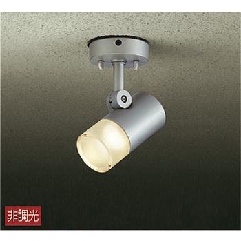 アウトドアライト/スポットライト/非調光 一般タイプ DAIKO(大光電機)