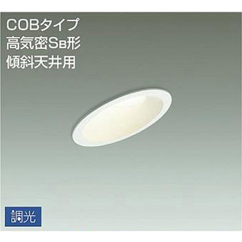 ダウンライト/調光傾斜天井用SB形/白熱灯200W相当/アウトドアライト/軒下ダウンライト/調光 傾斜天井用/吹抜け・傾斜天井/調光傾斜天井用ダウン DAIKO(大光電機)