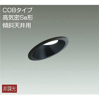 ダウンライト/非調光傾斜天井用SB形/白熱灯100W相当/アウトドアライト/軒下ダウンライト/非調光 傾斜天井用/吹抜け・傾斜天井/非調光傾斜天井用ダウン DAIKO(大光電機)