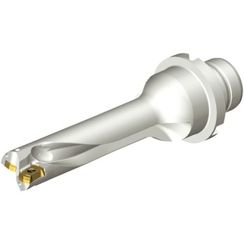 CoroDrill(R) DS20 刃先交換式ドリル サンドビック