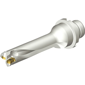 CoroDrill(R) DS20 刃先交換式ドリル サンドビック