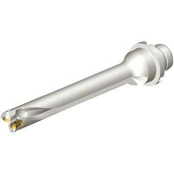 CoroDrill(R) DS20 刃先交換式ドリル サンドビック