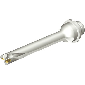 CoroDrill(R) DS20 刃先交換式ドリル サンドビック