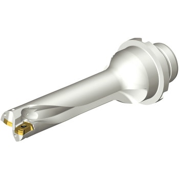 CoroDrill(R) DS20 刃先交換式ドリル サンドビック