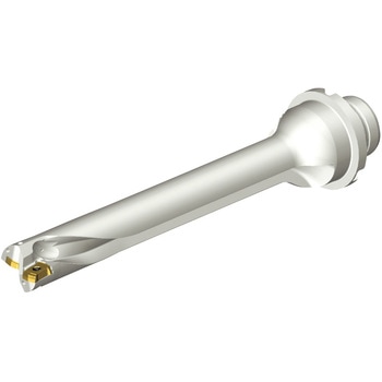 CoroDrill(R) DS20 刃先交換式ドリル サンドビック