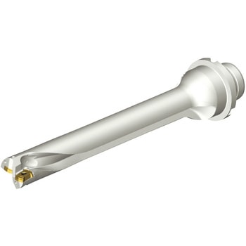 CoroDrill(R) DS20 刃先交換式ドリル サンドビック