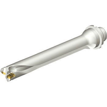 DS20-D2380DM25-07 CoroDrill(R) DS20 nh ThrbN 63818109