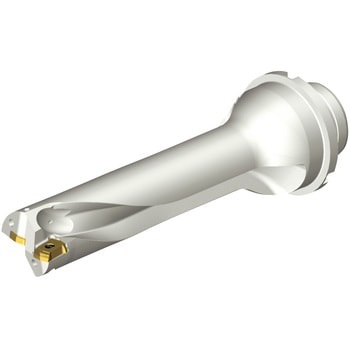 CoroDrill(R) DS20 刃先交換式ドリル サンドビック