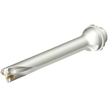 CoroDrill(R) DS20 刃先交換式ドリル サンドビック