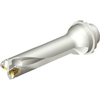 CoroDrill(R) DS20 刃先交換式ドリル サンドビック