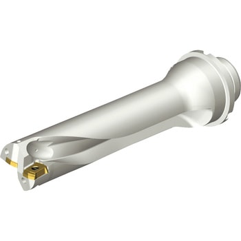 CoroDrill(R) DS20 刃先交換式ドリル サンドビック