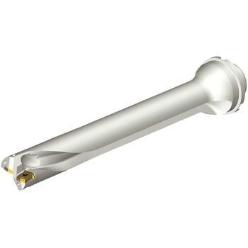 CoroDrill(R) DS20 刃先交換式ドリル サンドビック