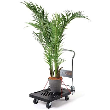 ダンデイ Xシリーズ タイプXL (折りたたみ式・セット品) 花岡車輌