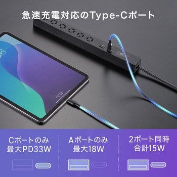 電源タップ スリム PD33W対応 サンワサプライ