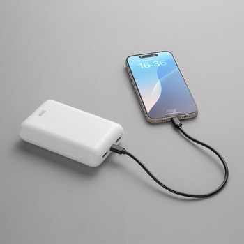 モバイルバッテリー USB PD対応 PD20W サンワサプライ