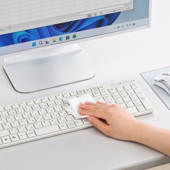 ウェットティッシュ パソコン用 サンワサプライ