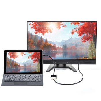 変換アダプタ Mini DisplayPort-DVI Activeタイプ サンワサプライ