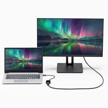変換アダプタ USB TypeC-DisplayPort 4K/120Hz/HDR対応 サンワサプライ