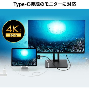 拡張アダプタ USB TypeC PD対応 サンワサプライ