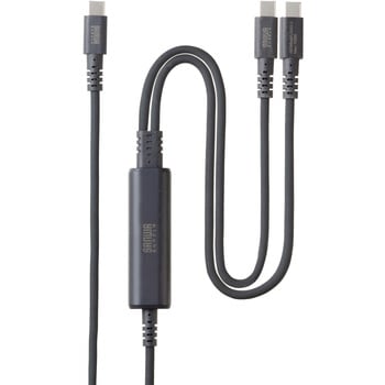 USB TypeCケーブル USB2.0 充電&通信PD100W サンワサプライ