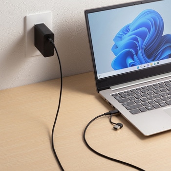 USB TypeCケーブル USB2.0 PD60W対応(USB A変換アダプタ付き) サンワサプライ