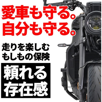 パイプエンジンガード/XSR900 DAYTONA(デイトナ)