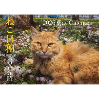 【S13】 ねこ日和 2026 Cat Calendar 永岡書店