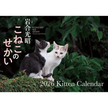 【S17】 こねこのせかい 2026 Kitten Calendar 永岡書店
