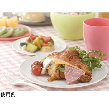 フォリオ プレート22 ホワイト イノマタ化学