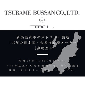 介護スプーン 10本セット 燕物産