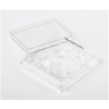 Fisherbrand 細胞培養マルチディッシュ FBシリーズ Thermo Fisher Scientific