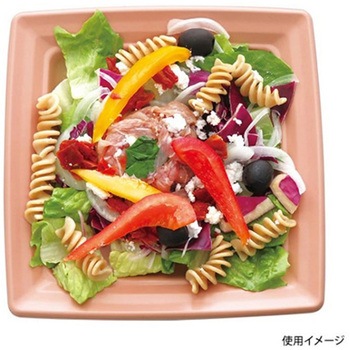 惣菜容器 CT沙楽 NP-BK 本体 中央化学