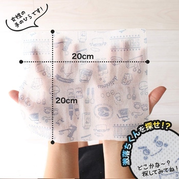 激落ちくんさっと使える不織布ふきん LEC(レック)