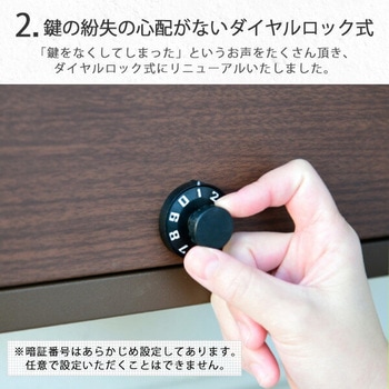 壁付け 郵便ポスト YAMAZEN(山善) 戸建住宅用ポスト 【通販