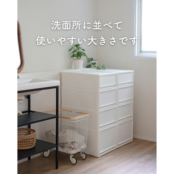 収納ボックス 奥行53cm 2個/3個/4個組 JEJアステージ