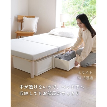 収納ボックス 奥行53cm 2個/3個/4個組 JEJアステージ