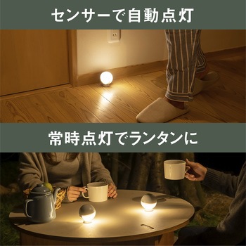 てのりまんまるセンサーライト ムサシ
